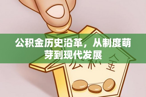 埤头公积金历史沿革，从制度萌芽到现代发展