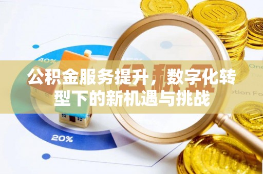 埤头公积金服务提升，数字化转型下的新机遇与挑战